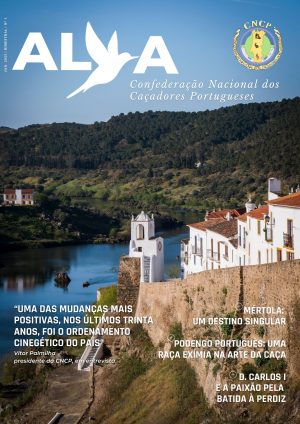 Revista ALVA 01 (4)